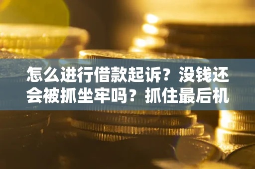 北京怎么进行借款起诉？没钱还会被抓坐牢吗？抓住最后机会！