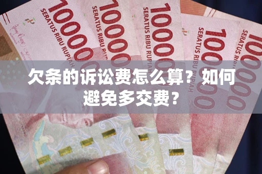 北京欠条的诉讼费怎么算？如何避免多交费？